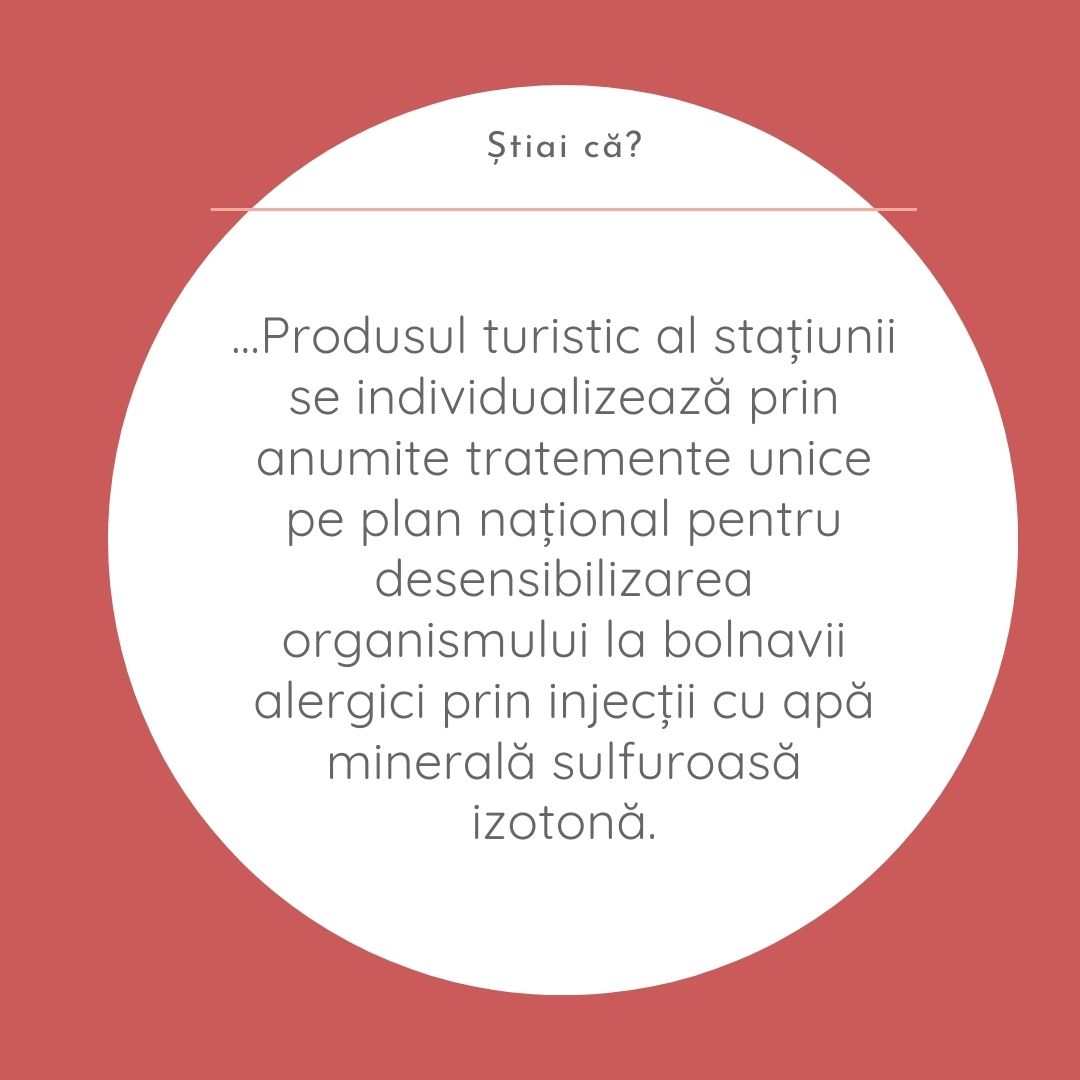 Roz-portocaliu Ilustrat Informații Interesante despre Pisici Instagram Postare(3)